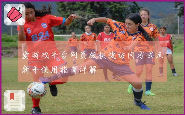 爱游戏平台网页版快捷访问方式及新手使用指南详解