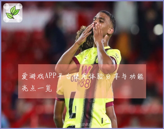 爱游戏APP平台使用体验分享与功能亮点一览